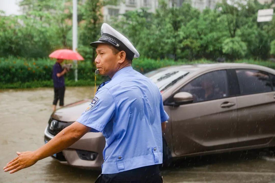 中洲里程最新价格趋势详解与解读指南，获取价格走势的步骤指南及最新动态分析