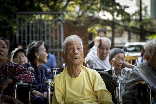 上海鸡蛋今日最新报价及市场走势微观观察