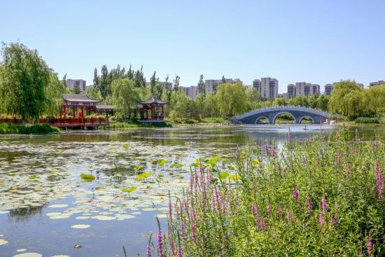 延庆野鸭湖最新,延庆野鸭湖最新，一场探索自然美景的愉悦之旅