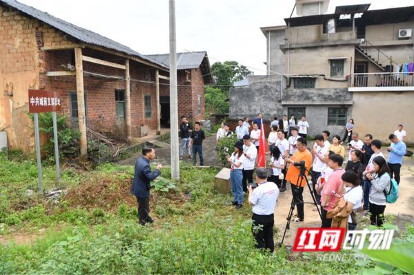 韶山红网最新动态，探索自然美景，追寻内心平和之旅