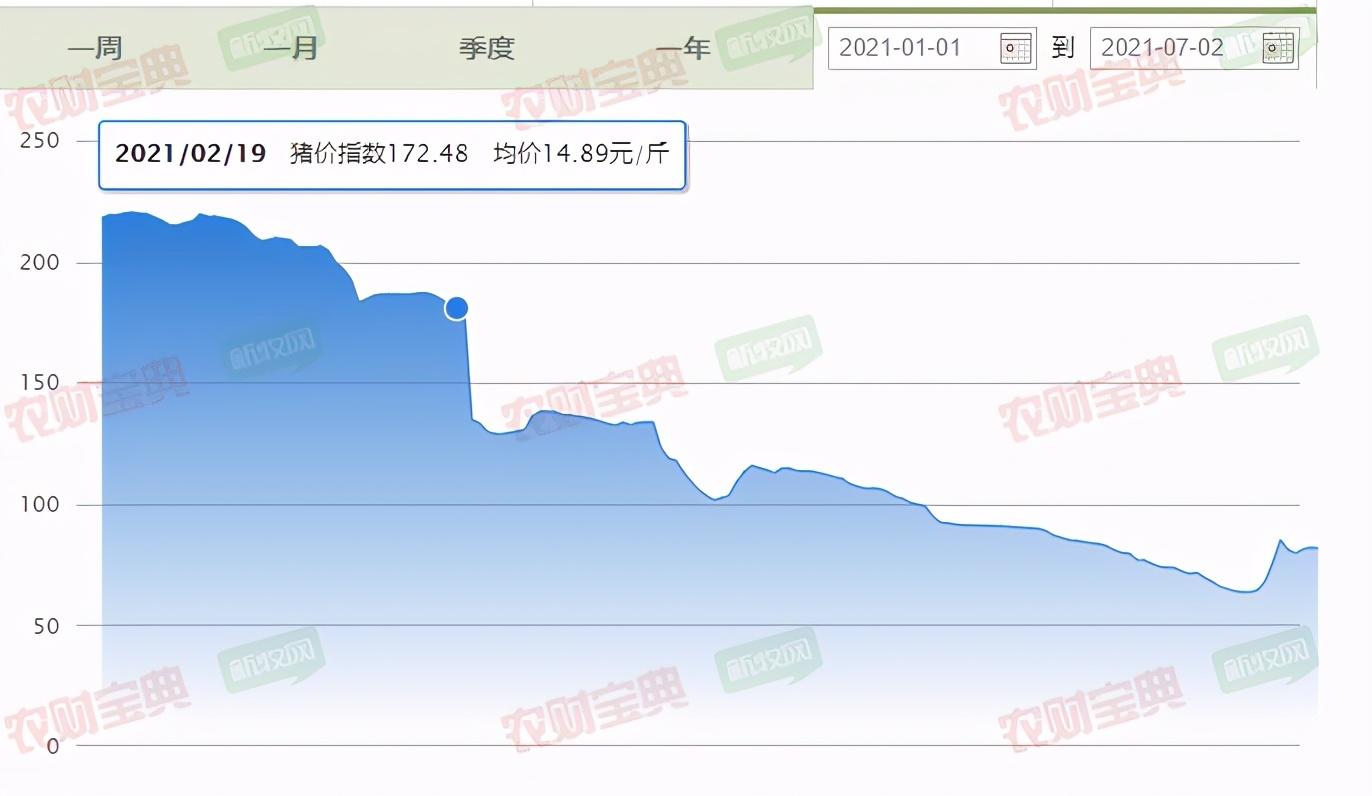 新闻资讯 第173页