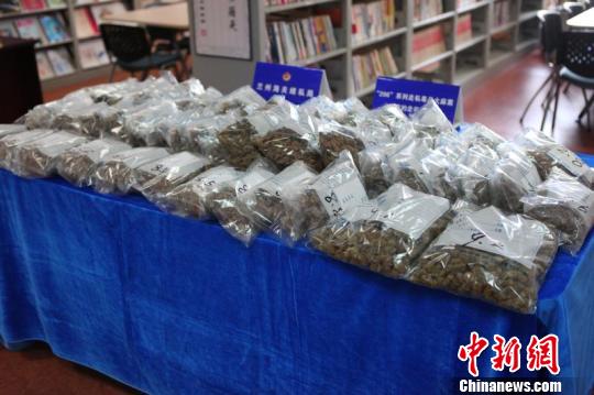 暗流涌动下的时代挑战，最新获毒品问题揭秘