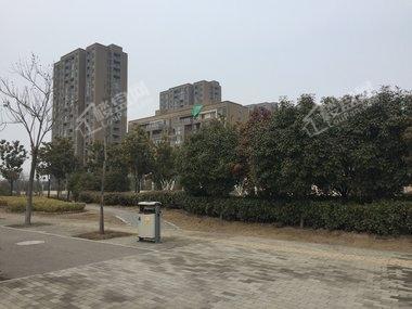 徐州奥体沁园最新价格，自然美景探索之旅的独家报道